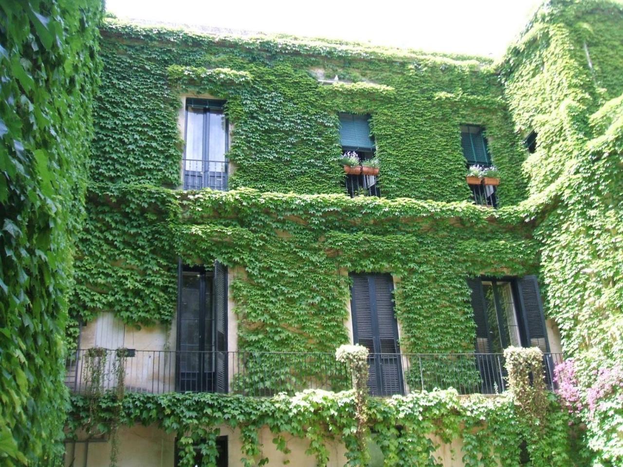 مبيت وإفطار ليتشي Palazzo Rollo المظهر الخارجي الصورة